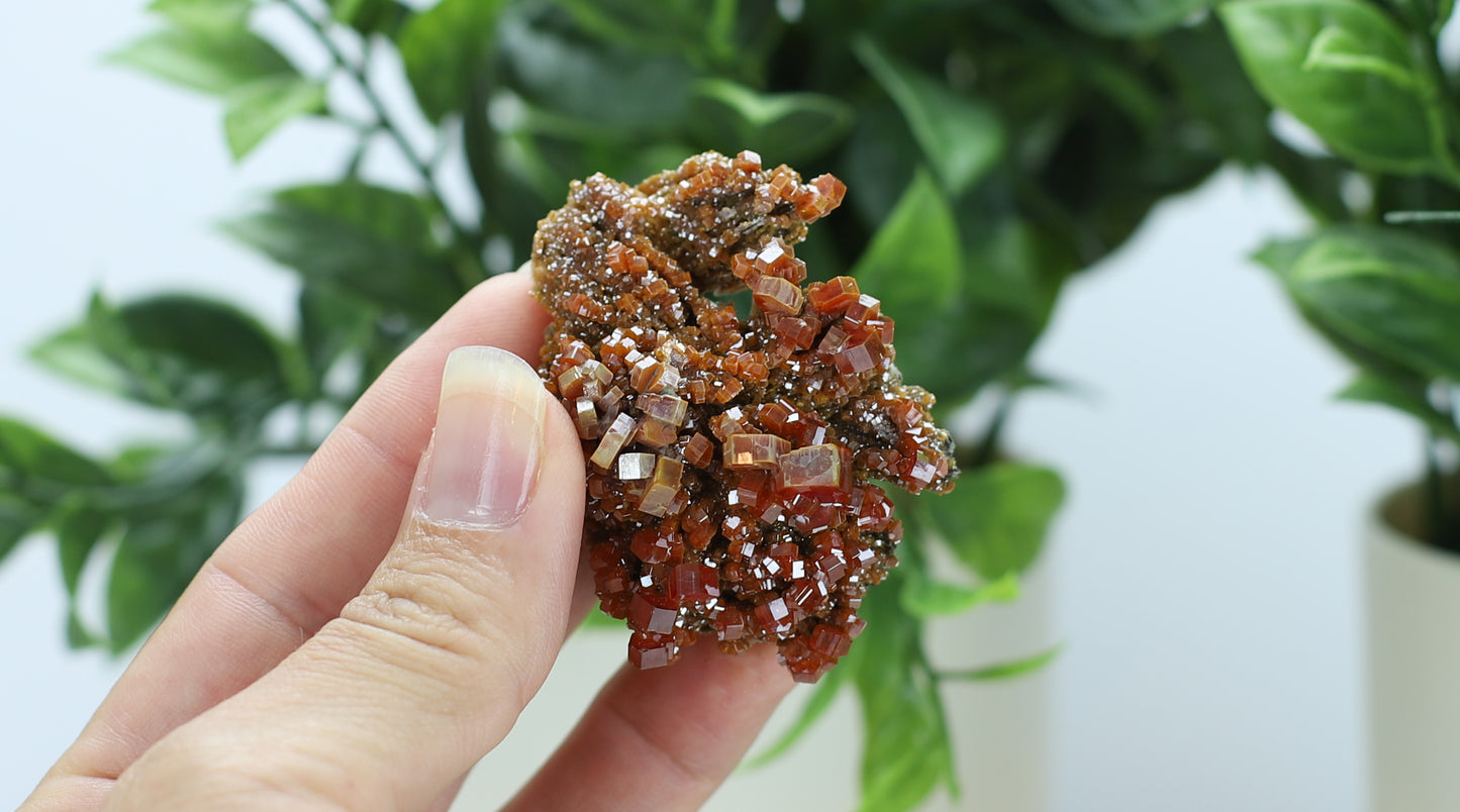Moroccan Vanadinite Specimen