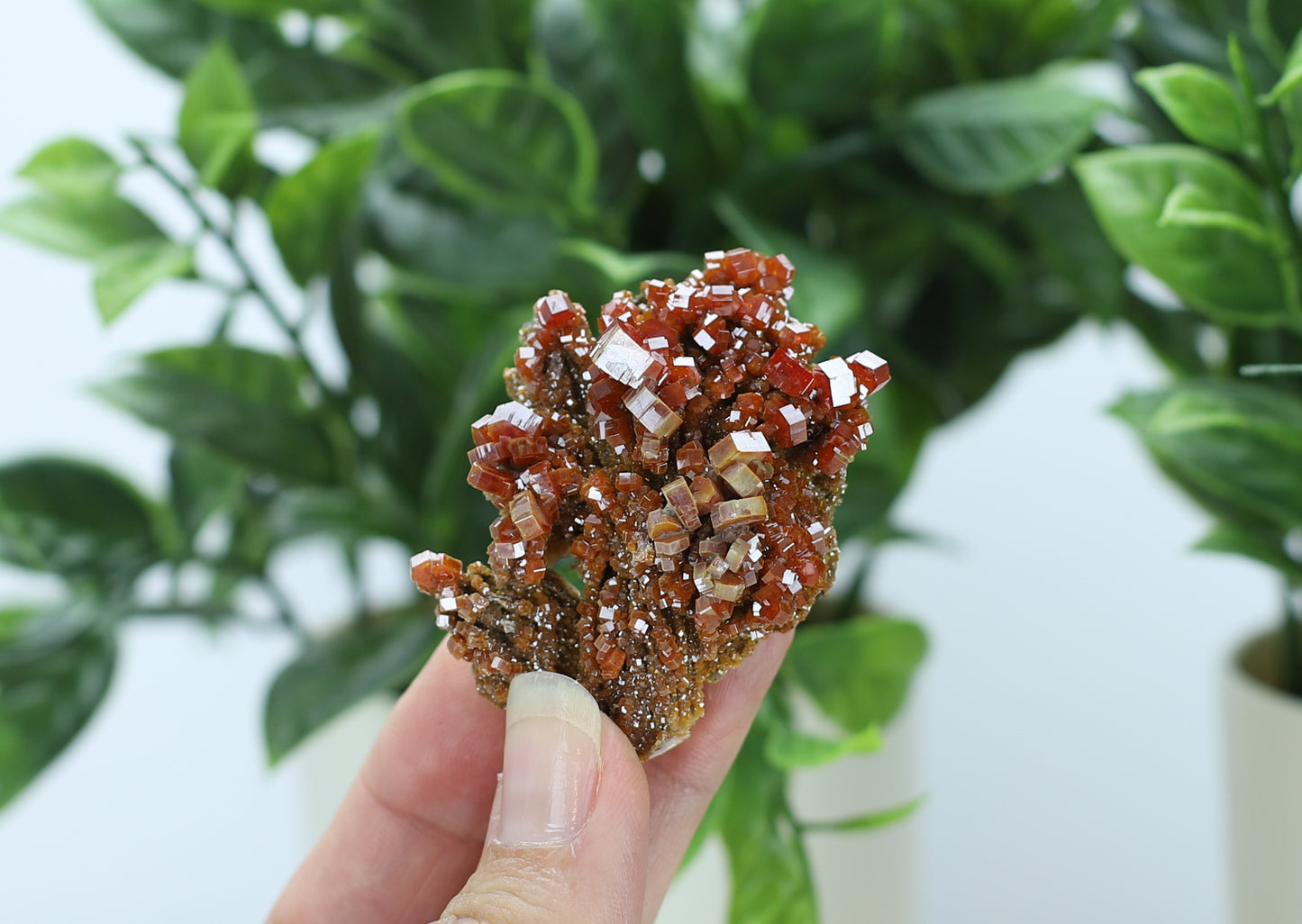 Moroccan Vanadinite Specimen
