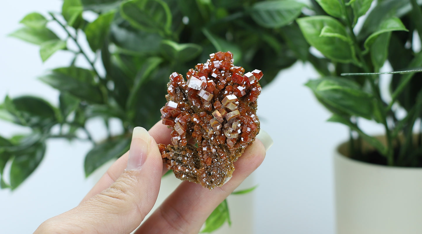 Moroccan Vanadinite Specimen
