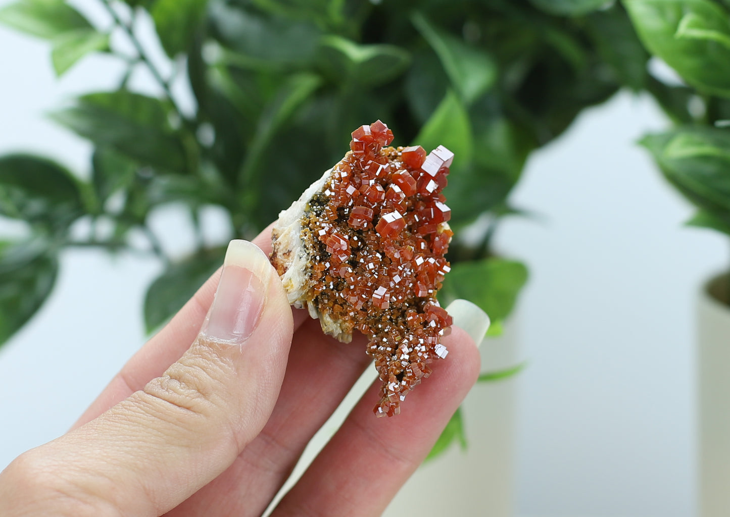 Moroccan Vanadinite Specimen