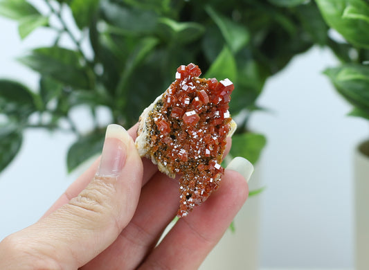 Moroccan Vanadinite Specimen