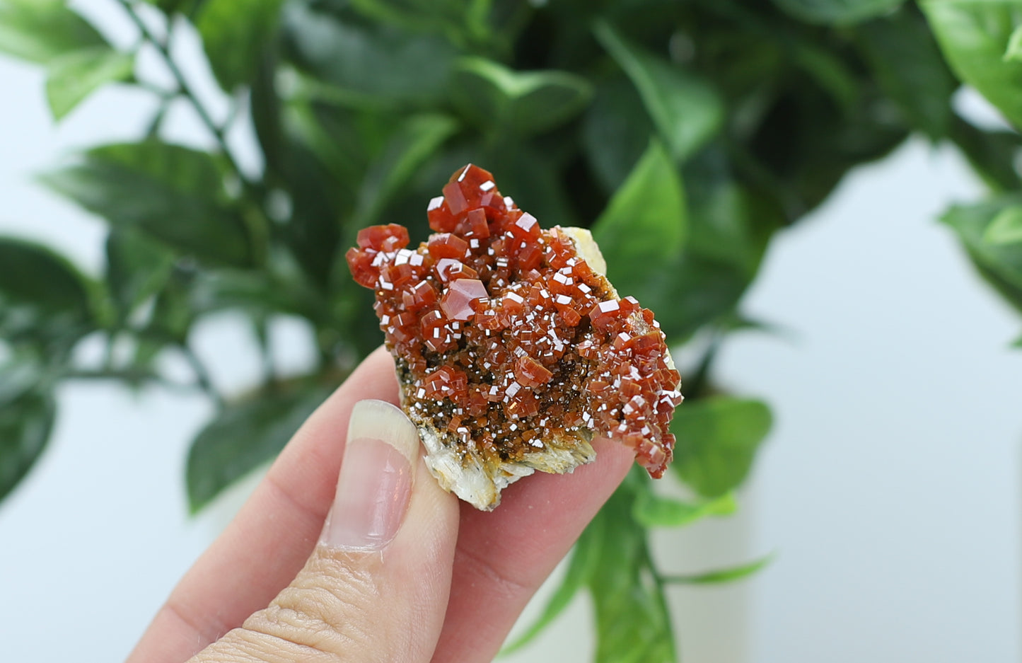 Moroccan Vanadinite Specimen