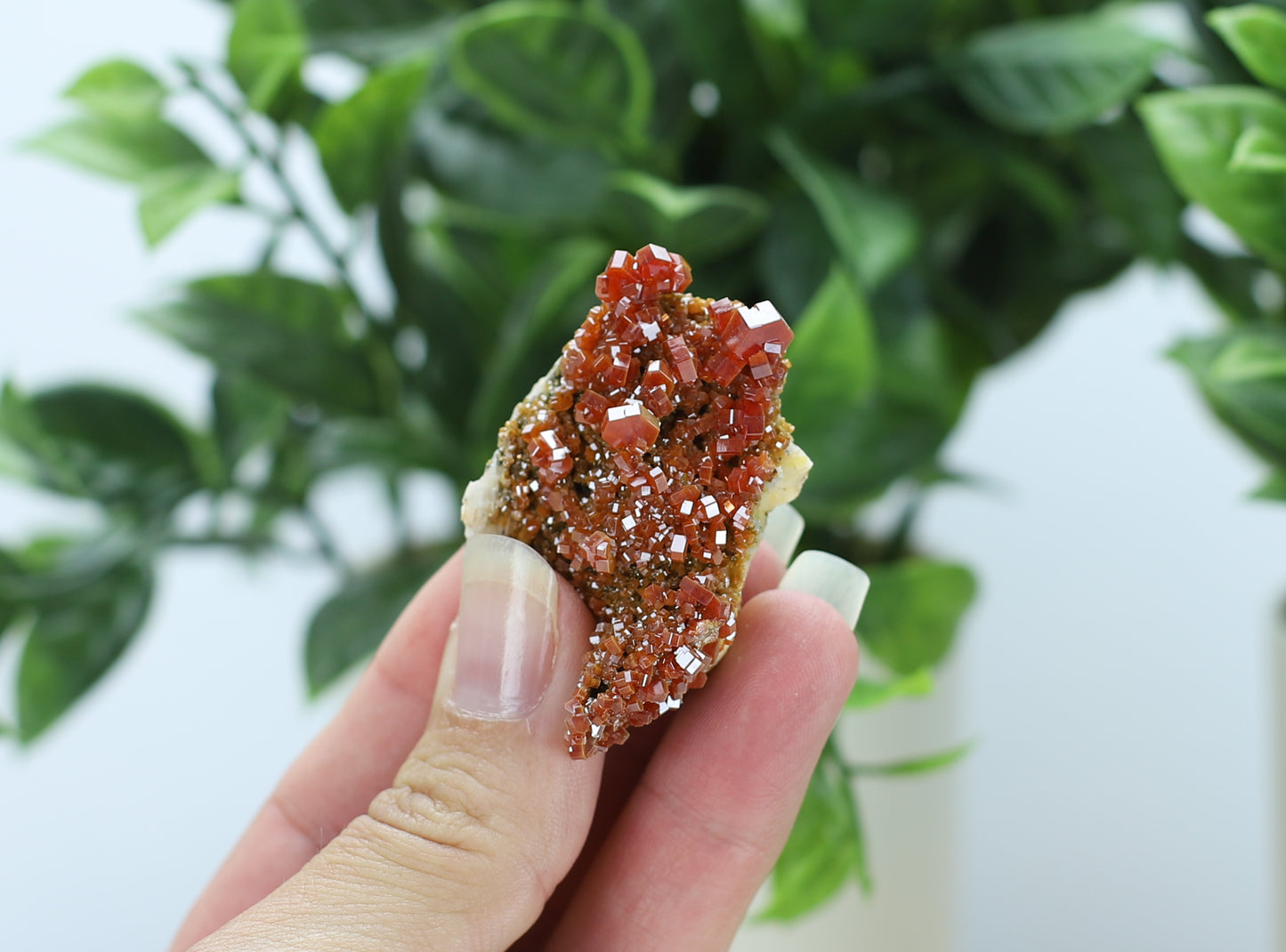 Moroccan Vanadinite Specimen