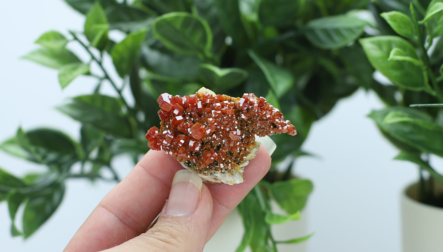 Moroccan Vanadinite Specimen
