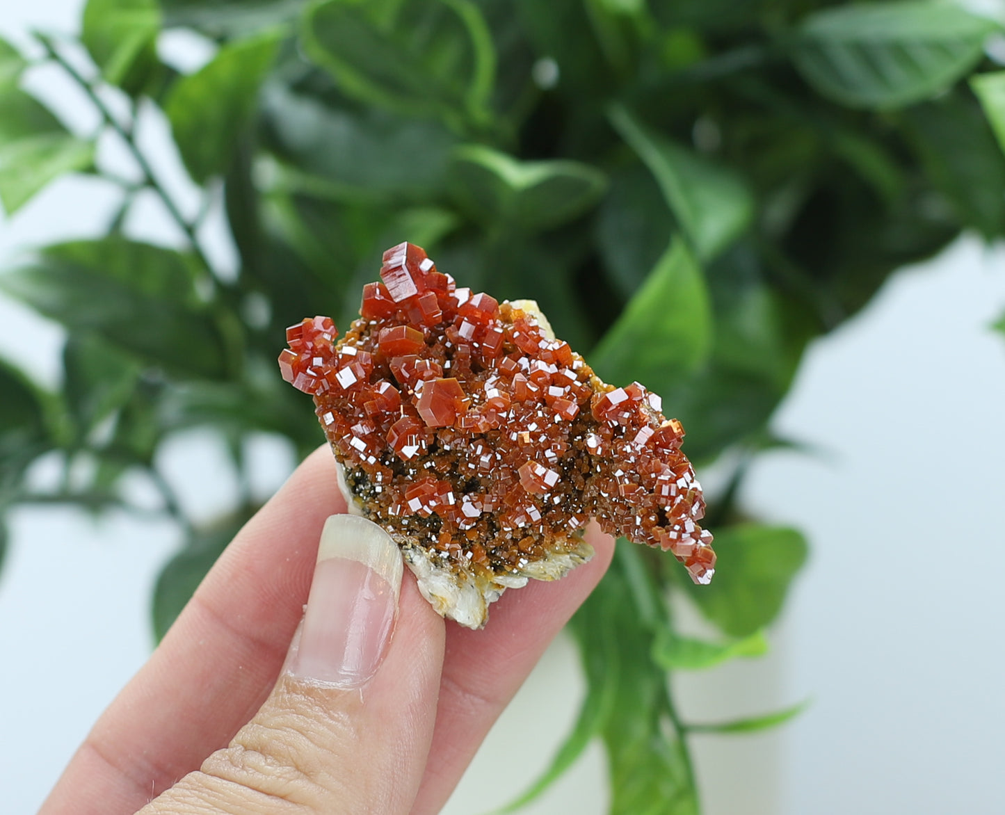 Moroccan Vanadinite Specimen