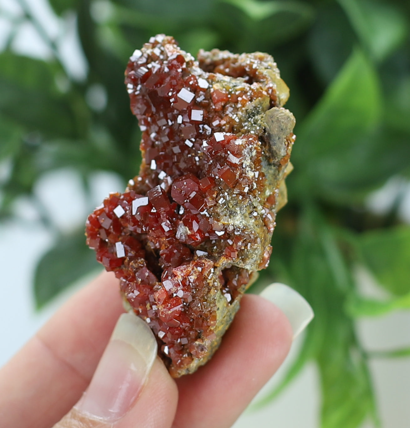 Moroccan Vanadinite Specimen