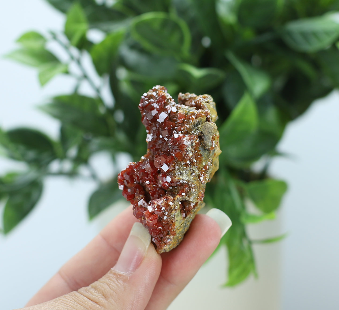 Moroccan Vanadinite Specimen