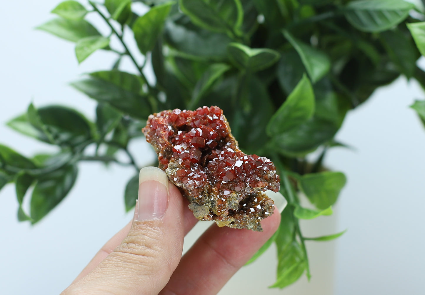 Moroccan Vanadinite Specimen