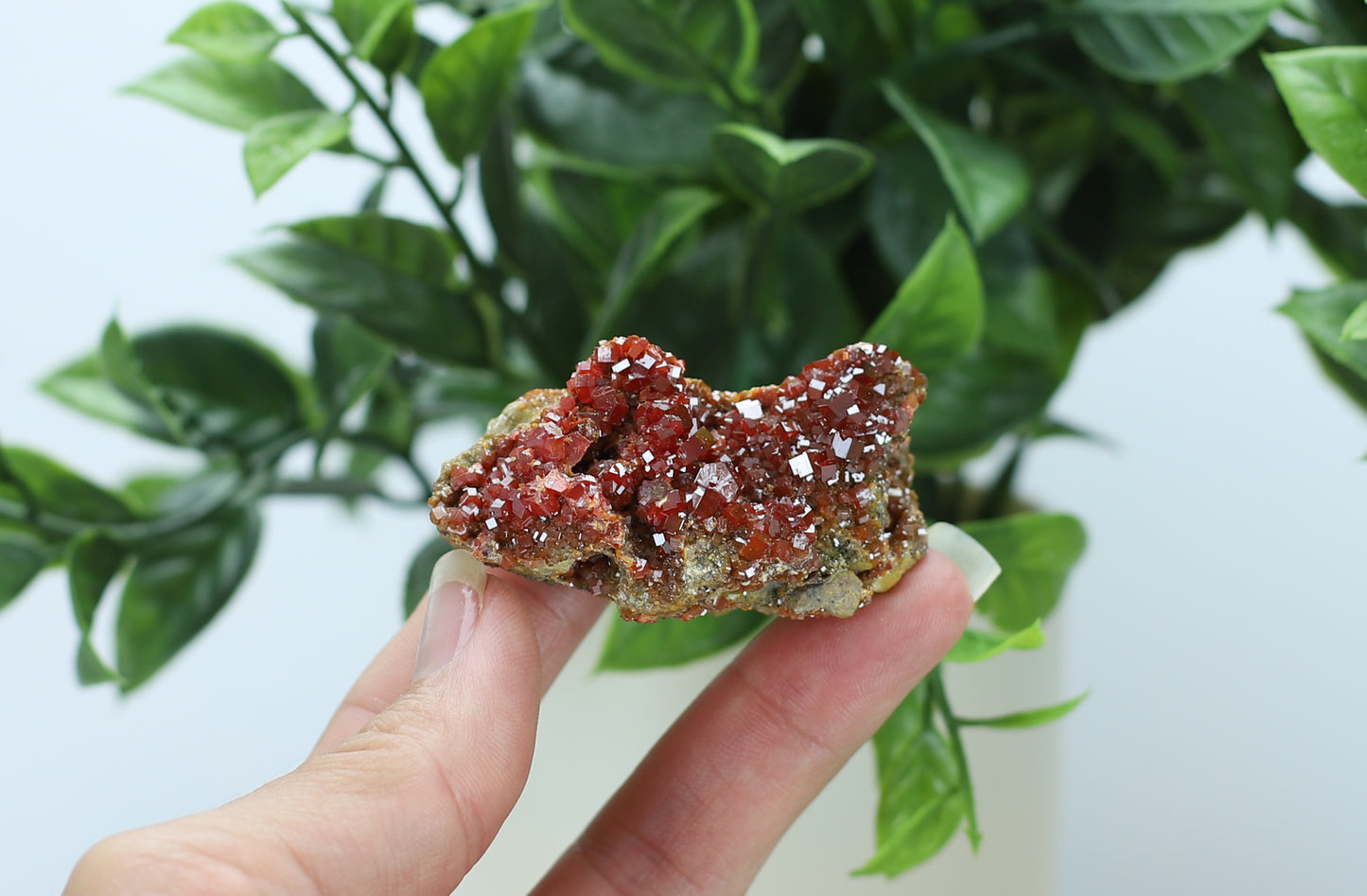 Moroccan Vanadinite Specimen