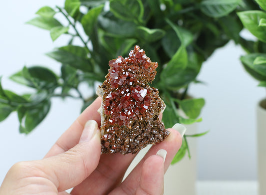 Moroccan Vanadinite Specimen