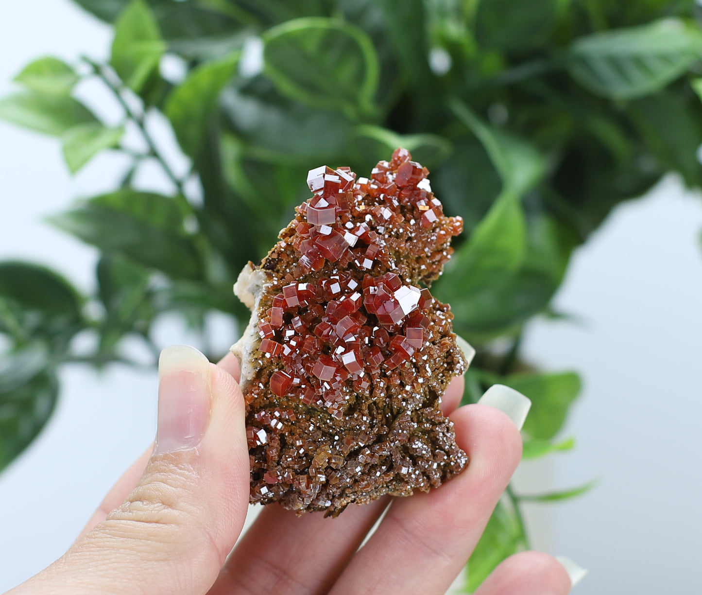 Moroccan Vanadinite Specimen
