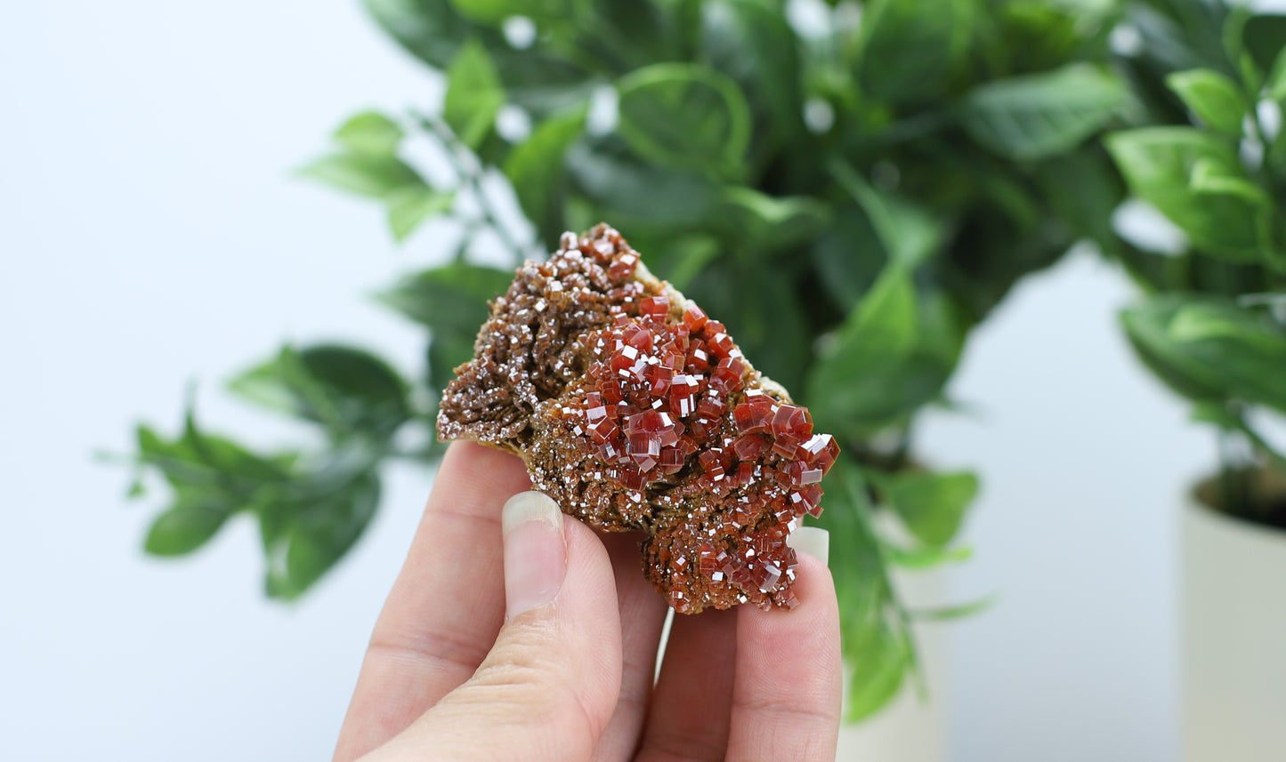 Moroccan Vanadinite Specimen