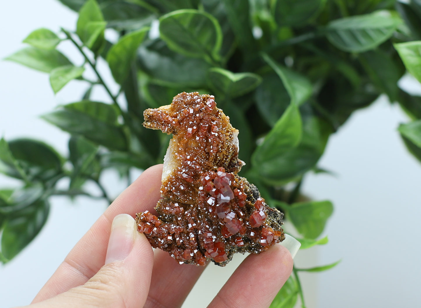 Moroccan Vanadinite Specimen