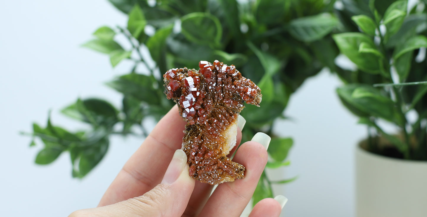 Moroccan Vanadinite Specimen