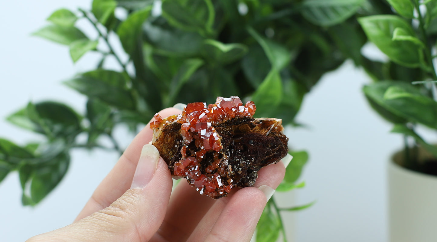 Moroccan Vanadinite Specimen