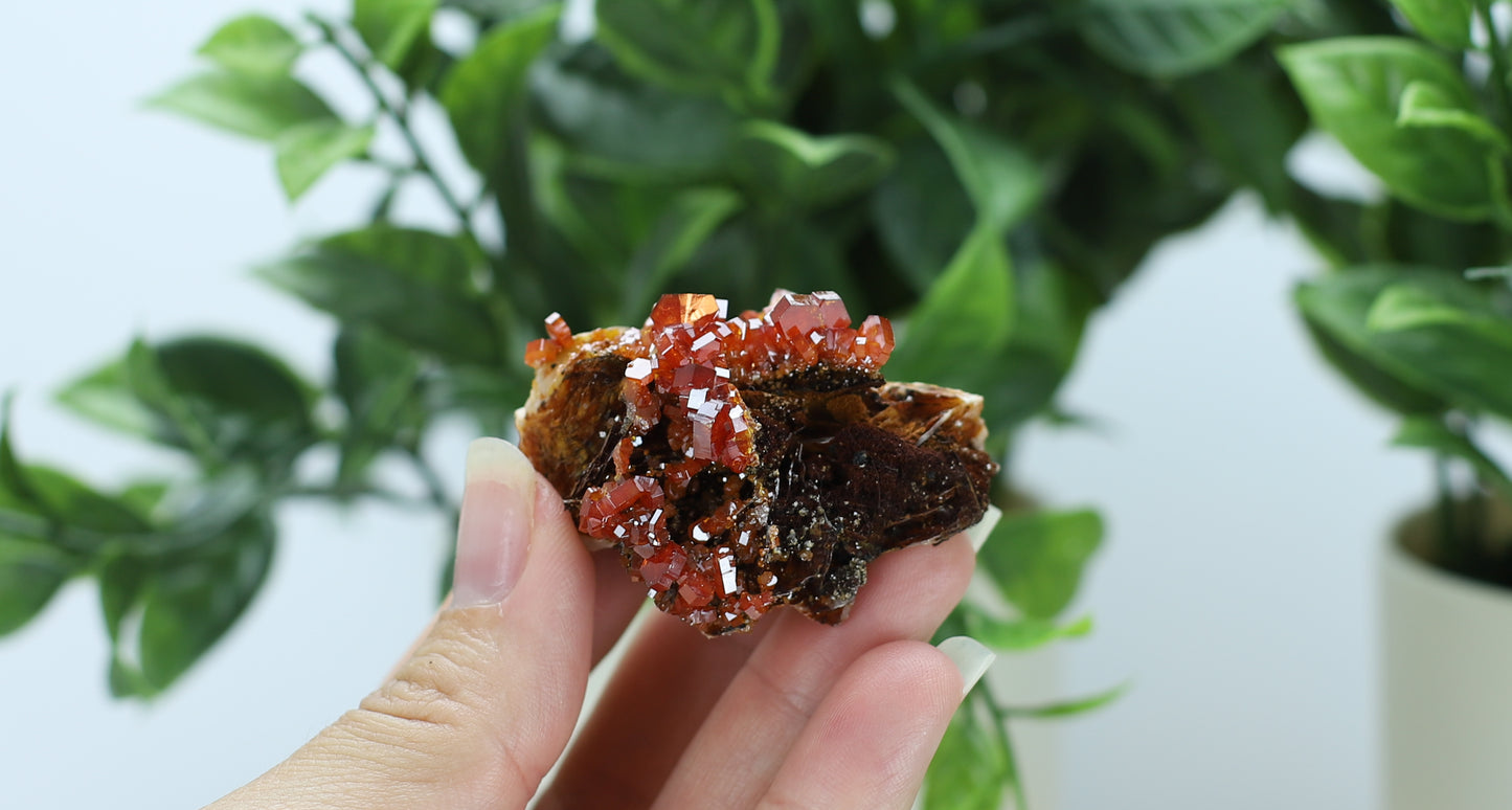 Moroccan Vanadinite Specimen
