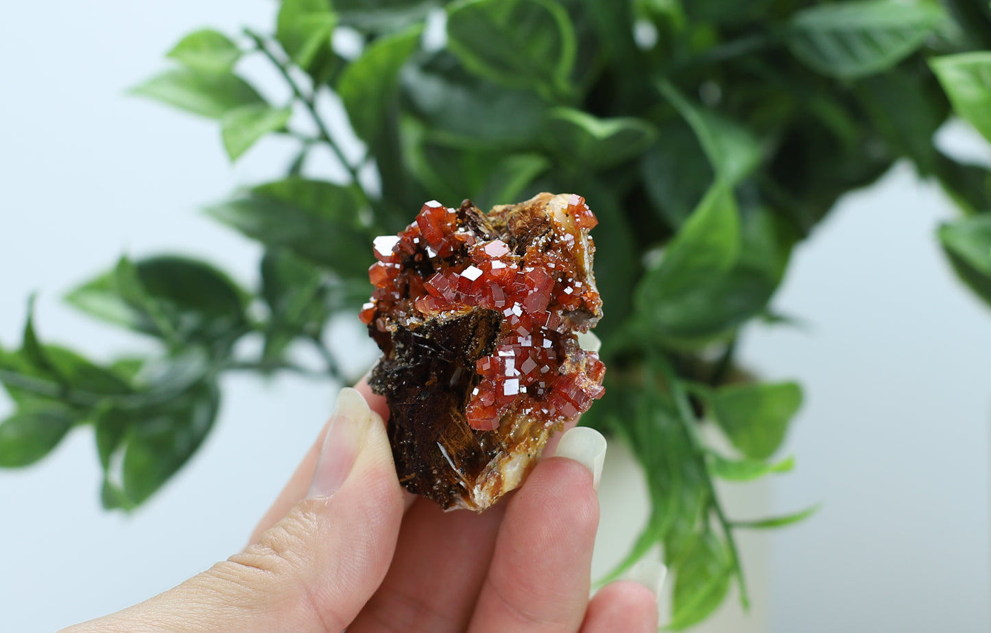 Moroccan Vanadinite Specimen