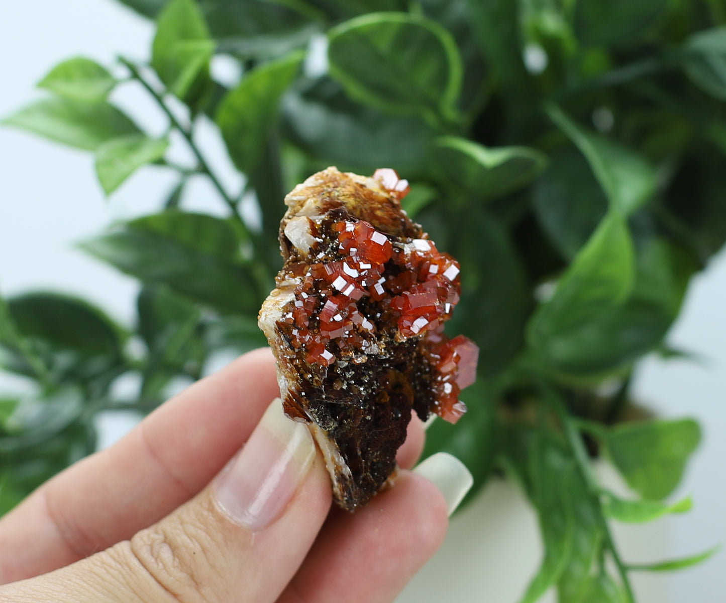 Moroccan Vanadinite Specimen