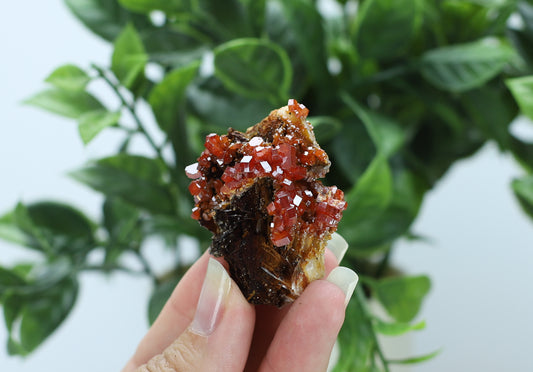 Moroccan Vanadinite Specimen