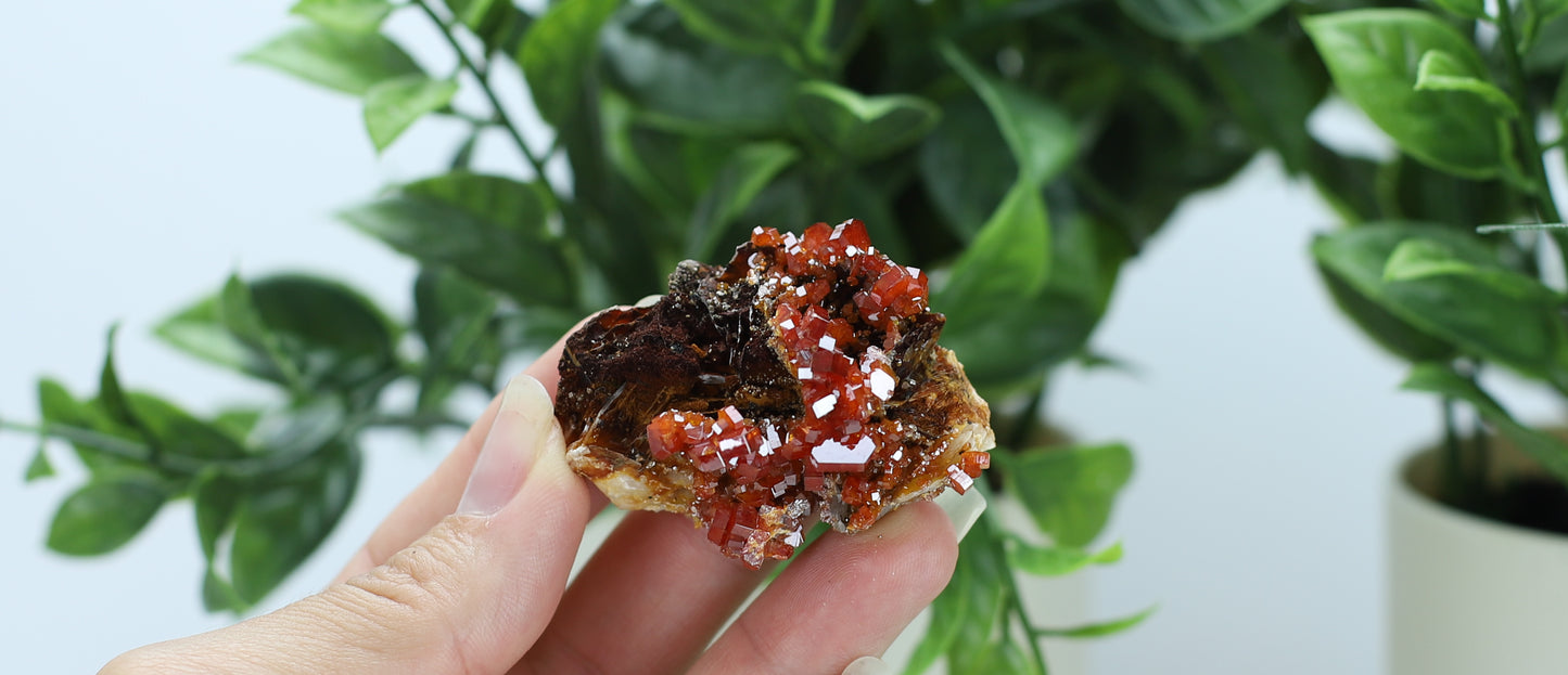 Moroccan Vanadinite Specimen
