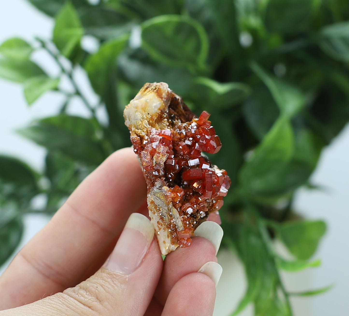 Moroccan Vanadinite Specimen