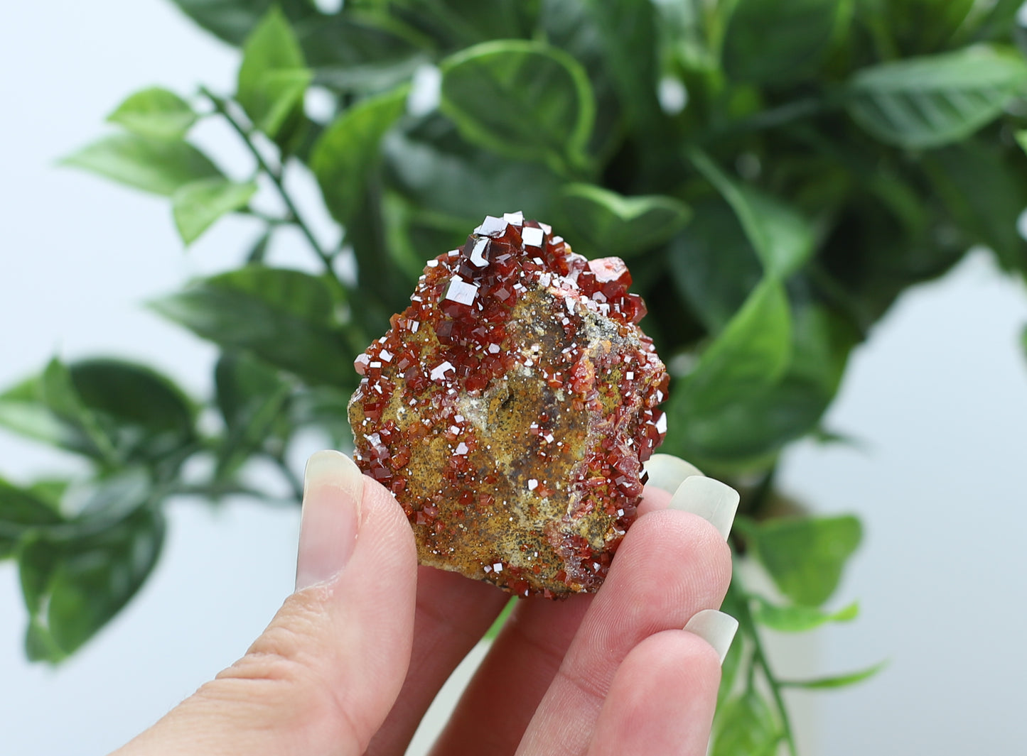 Moroccan Vanadinite Specimen