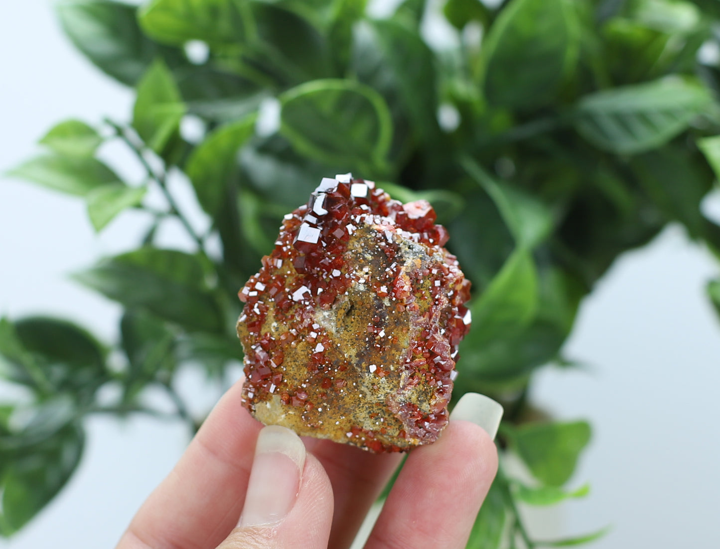 Moroccan Vanadinite Specimen