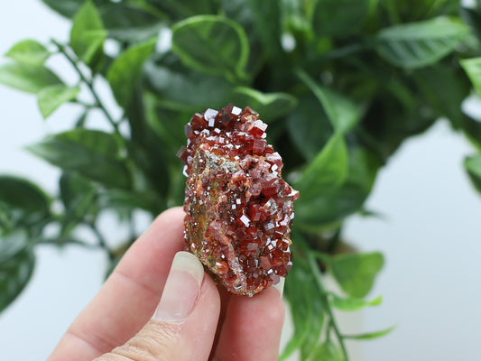 Moroccan Vanadinite Specimen