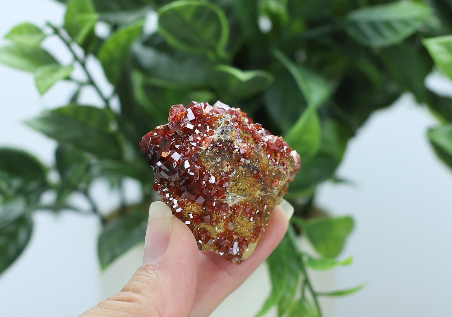 Moroccan Vanadinite Specimen