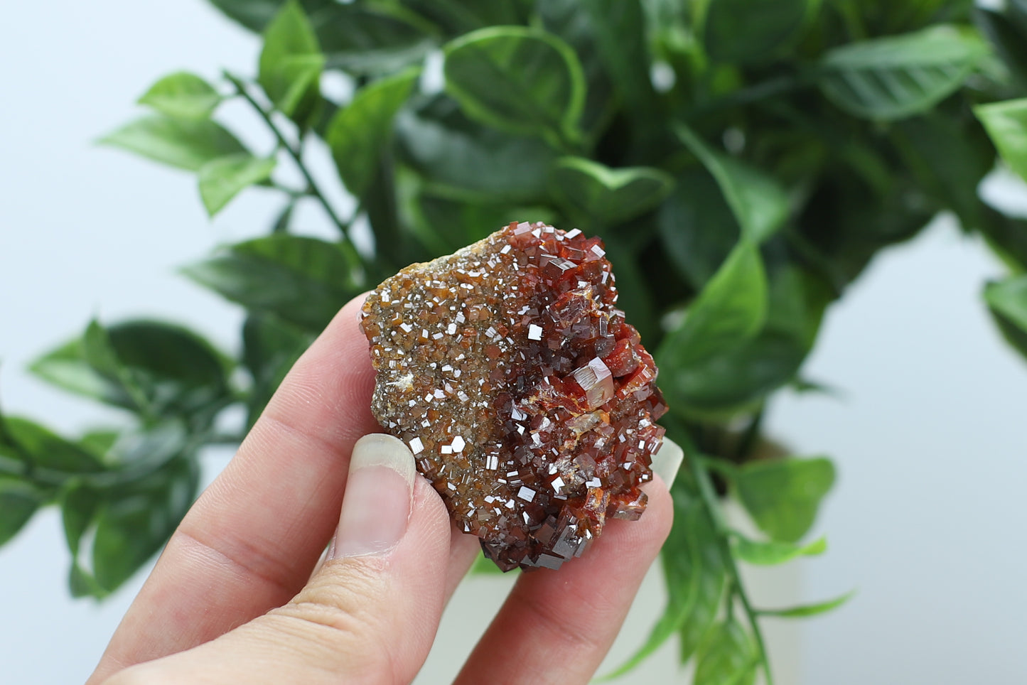 Moroccan Vanadinite Specimen