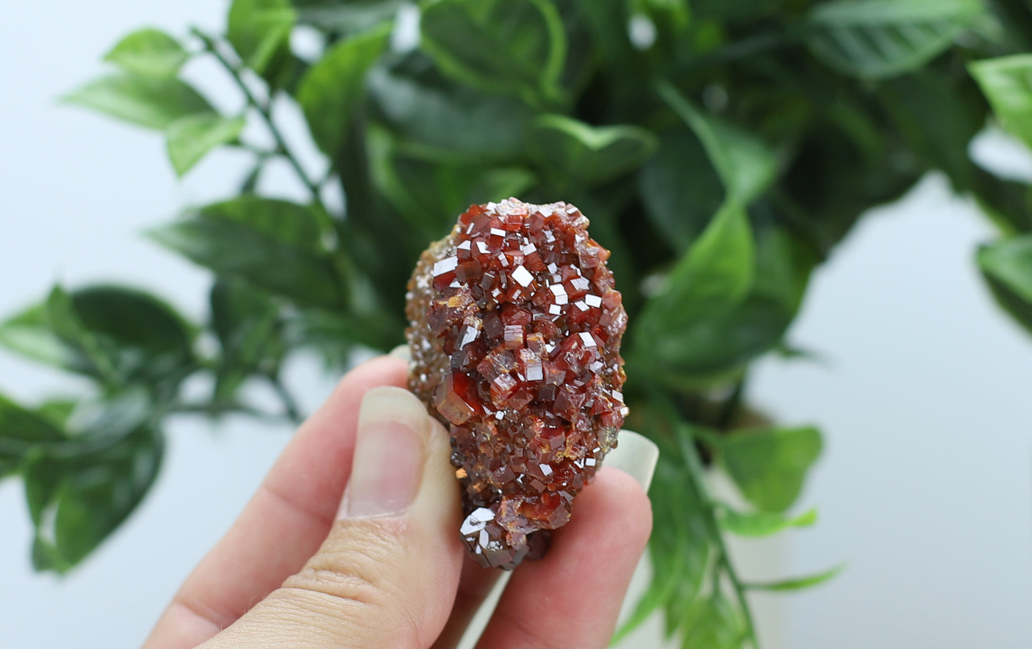Moroccan Vanadinite Specimen
