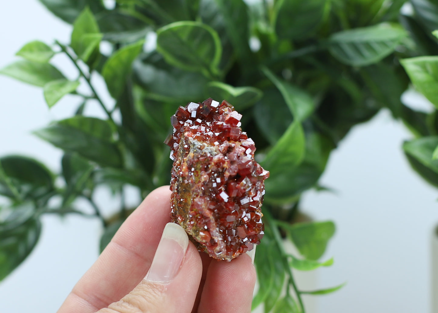 Moroccan Vanadinite Specimen