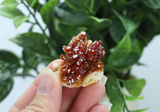 Moroccan Vanadinite Specimen