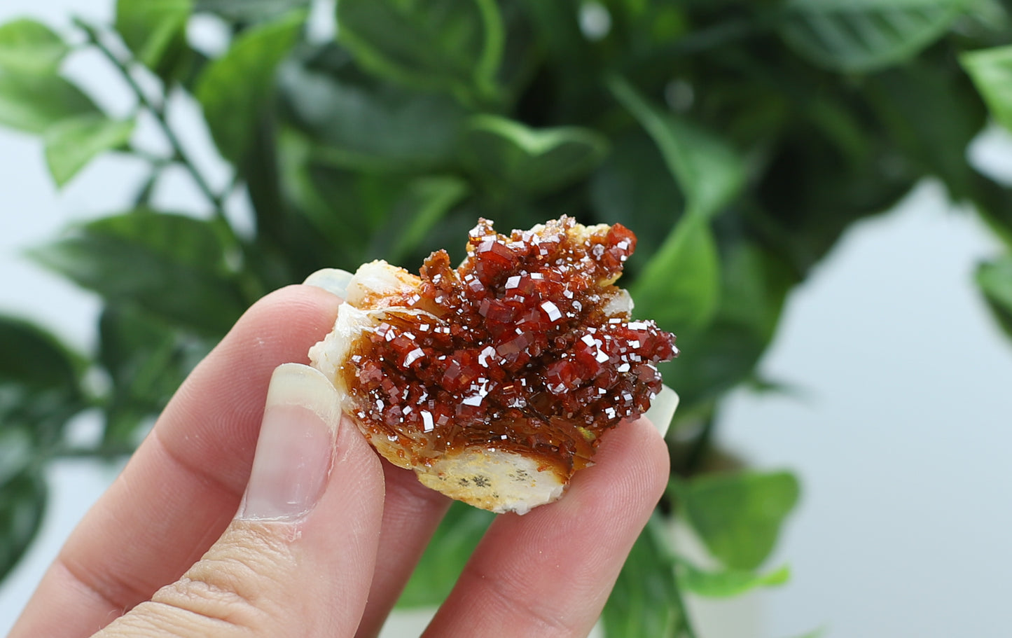 Moroccan Vanadinite Specimen
