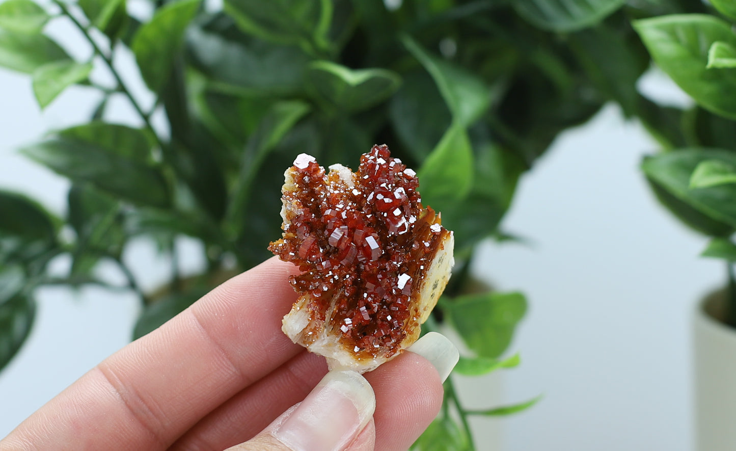 Moroccan Vanadinite Specimen