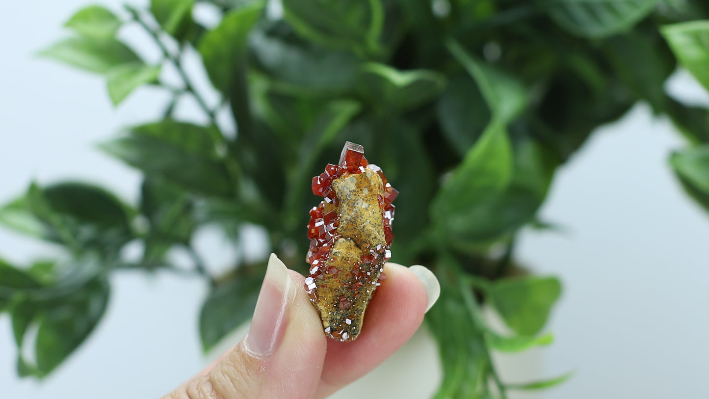 Moroccan Vanadinite Specimen