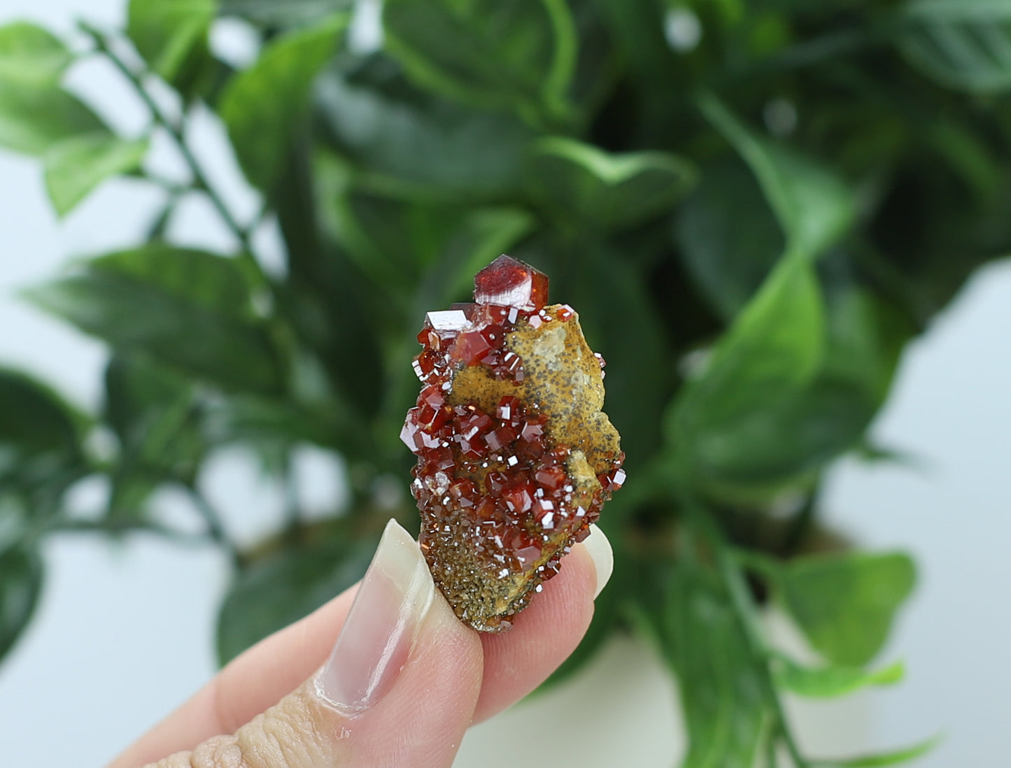 Moroccan Vanadinite Specimen