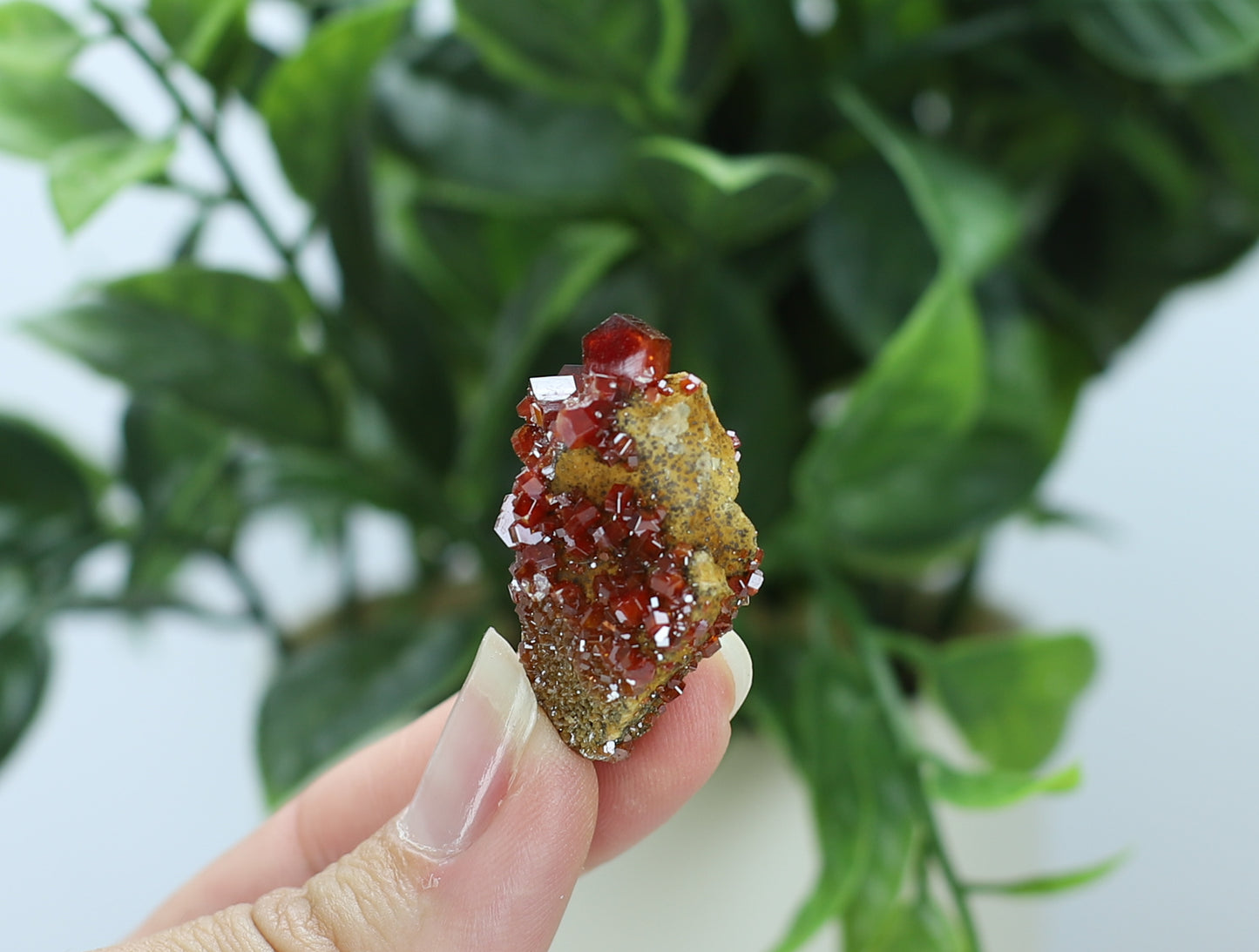Moroccan Vanadinite Specimen