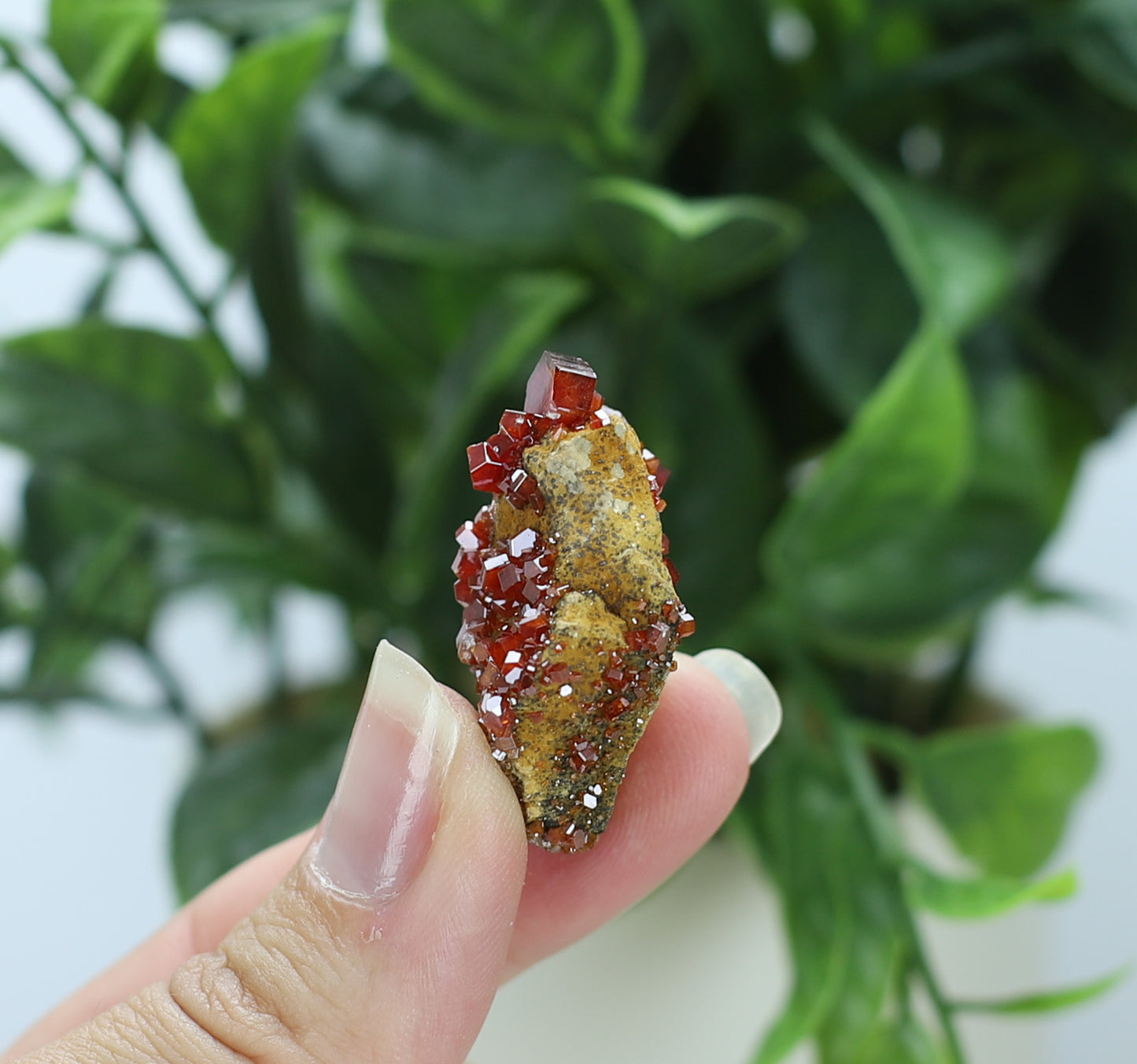 Moroccan Vanadinite Specimen