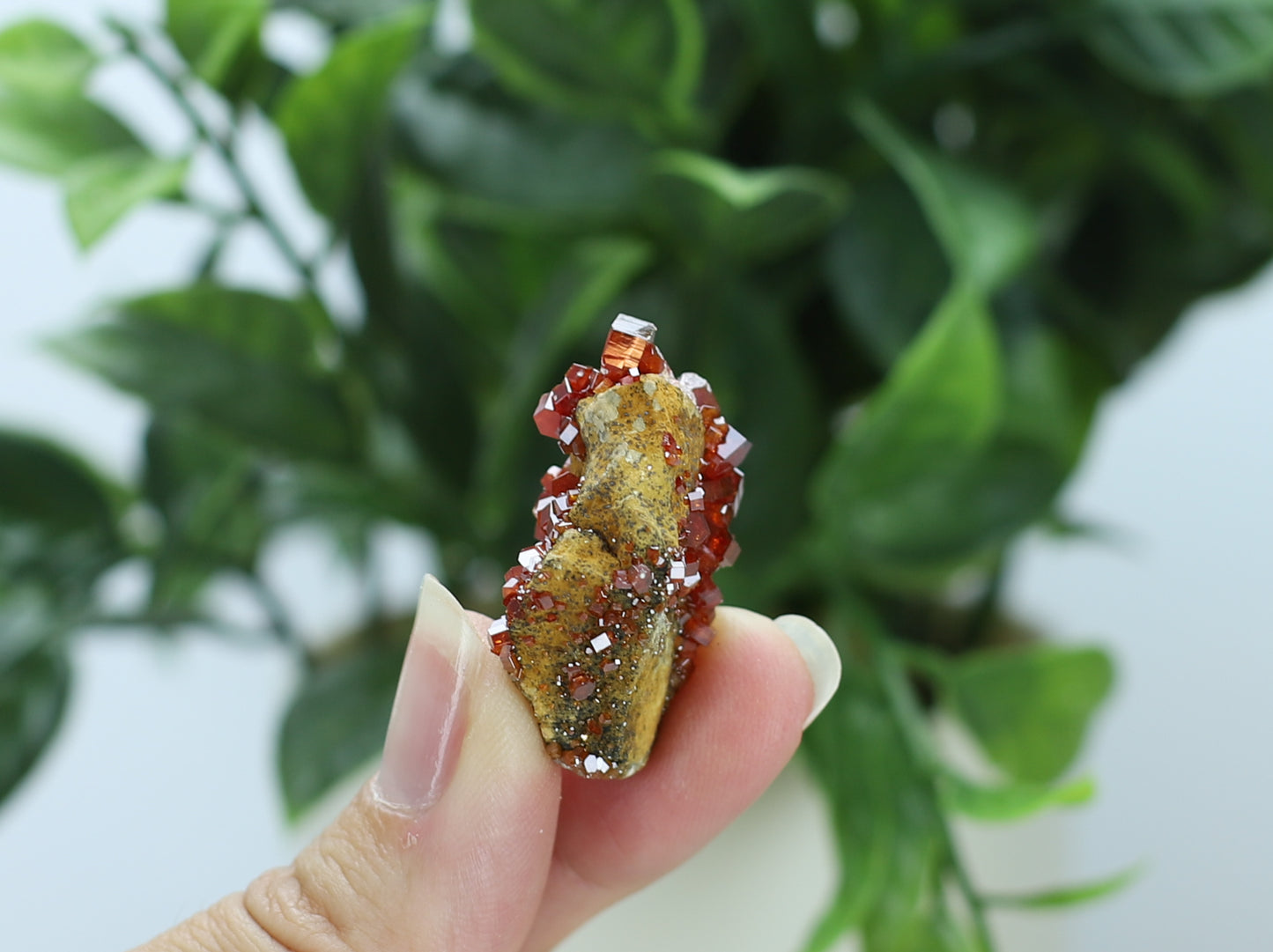 Moroccan Vanadinite Specimen