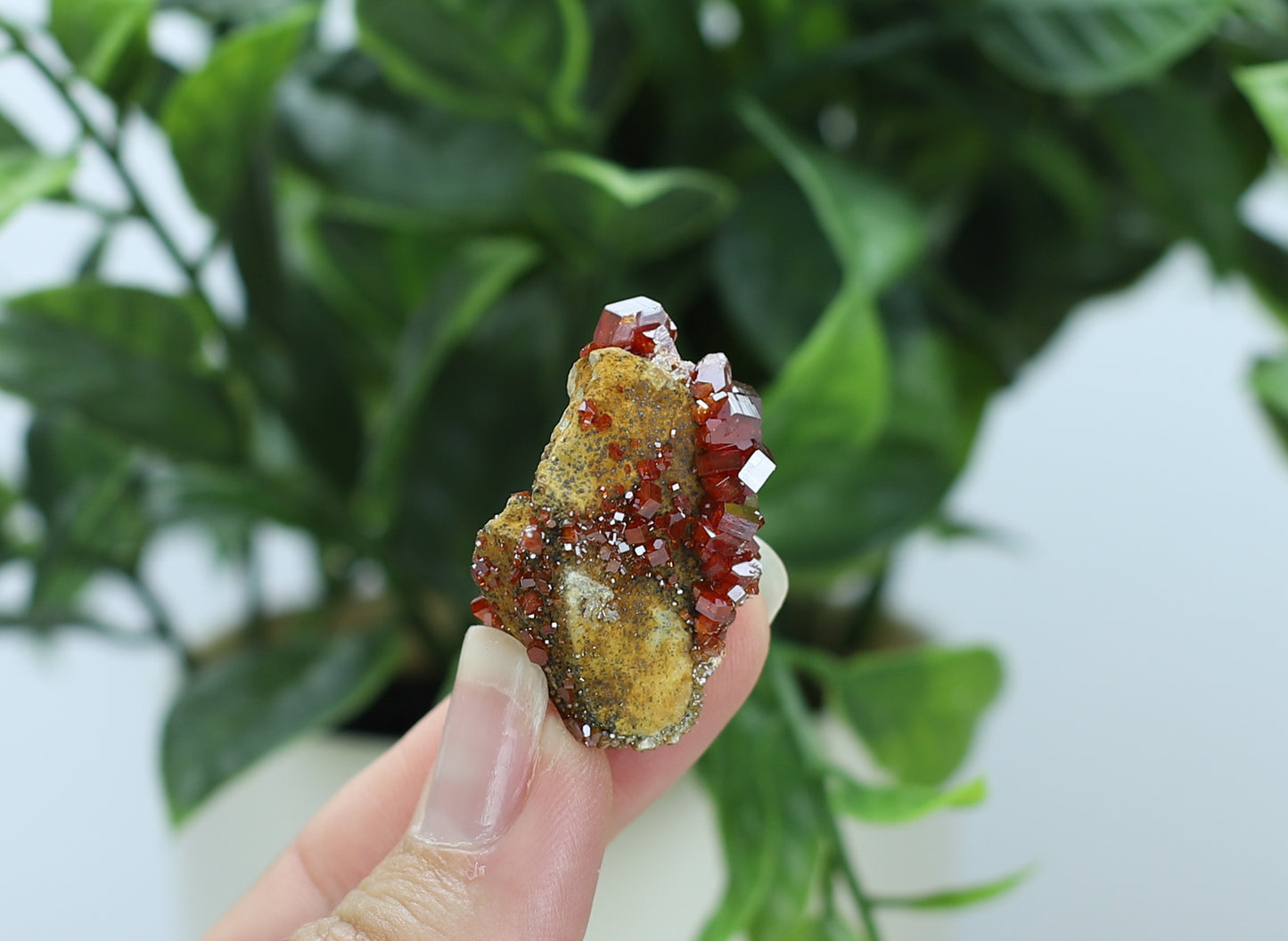 Moroccan Vanadinite Specimen