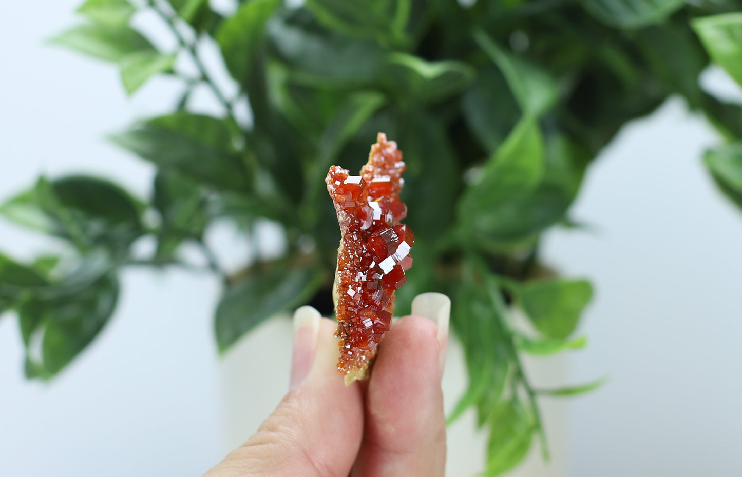 Moroccan Vanadinite Specimen