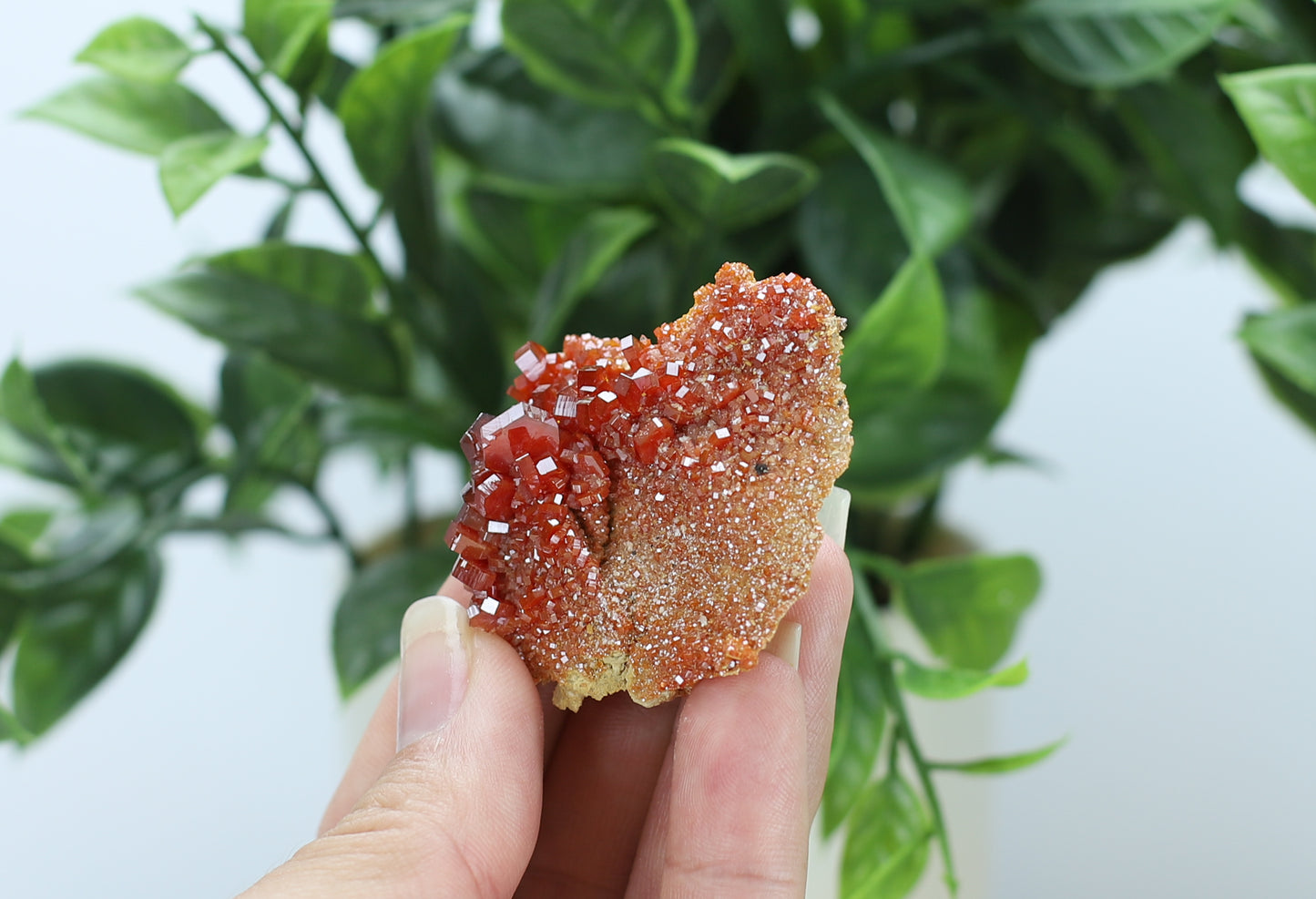 Moroccan Vanadinite Specimen