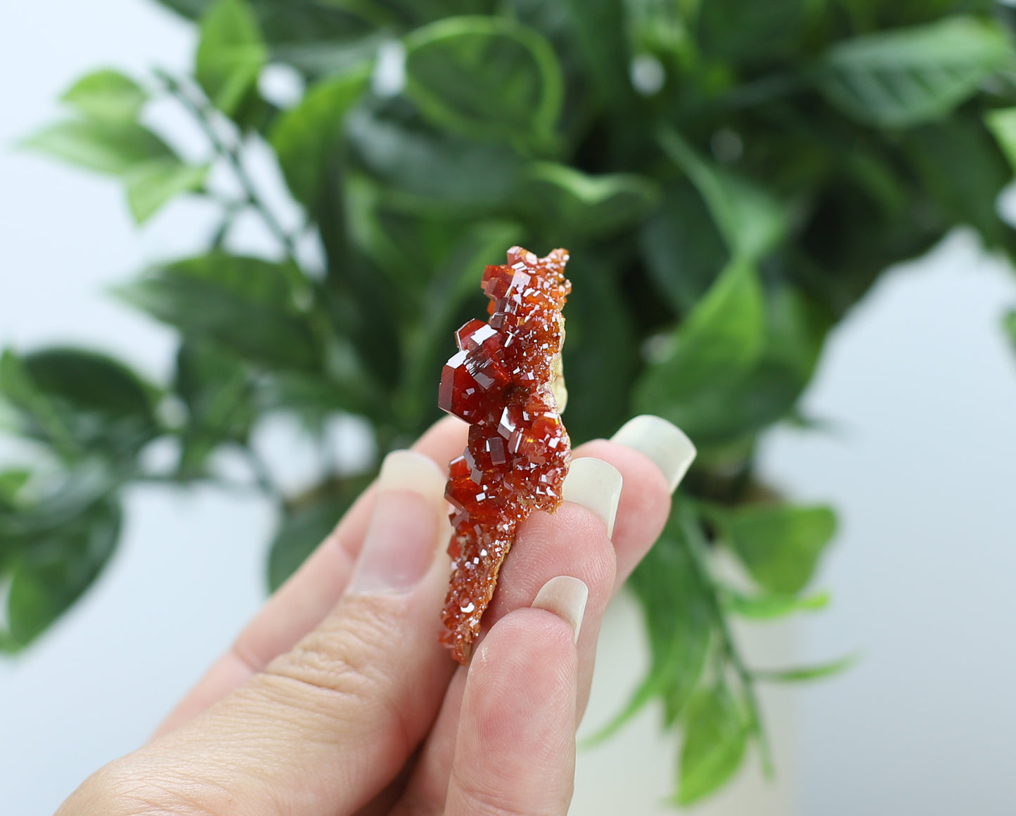 Moroccan Vanadinite Specimen