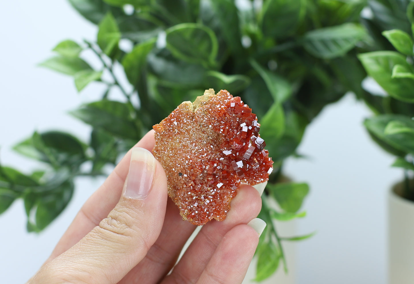 Moroccan Vanadinite Specimen