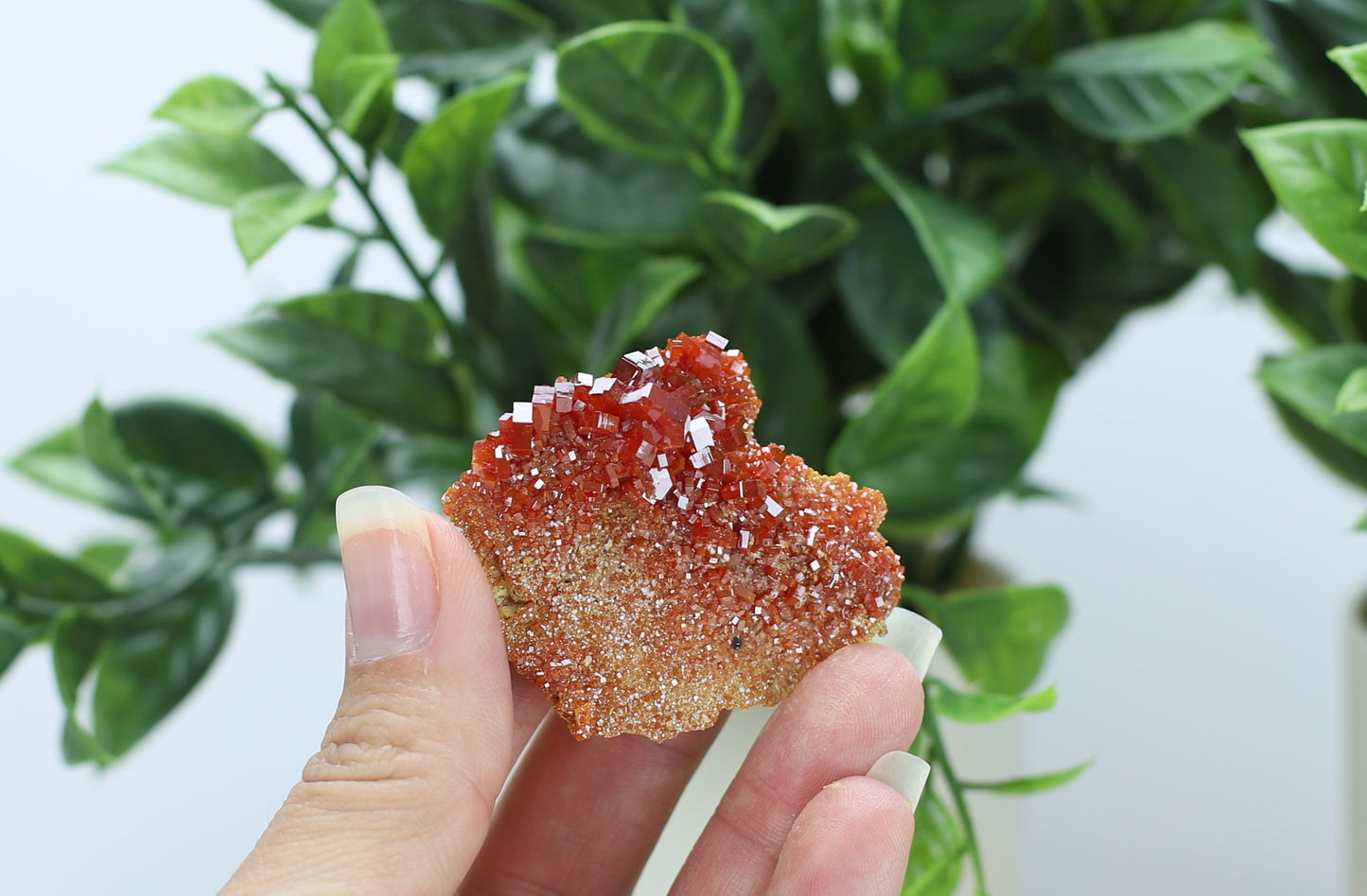Moroccan Vanadinite Specimen