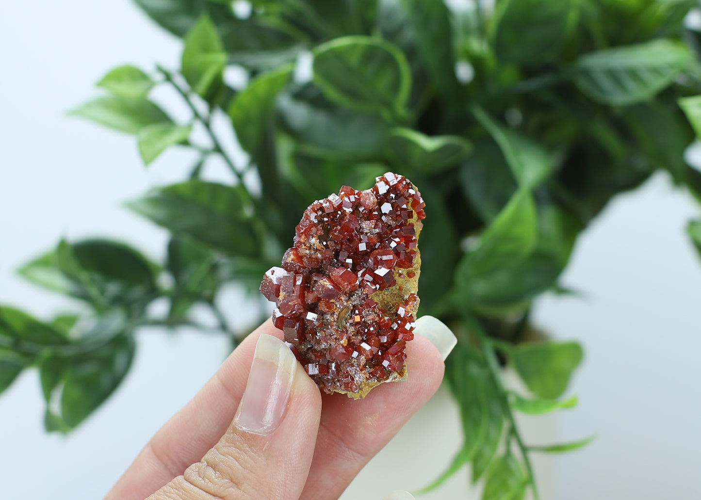 Moroccan Vanadinite Specimen