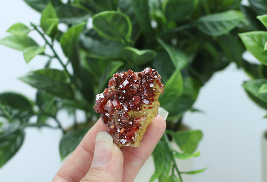 Moroccan Vanadinite Specimen