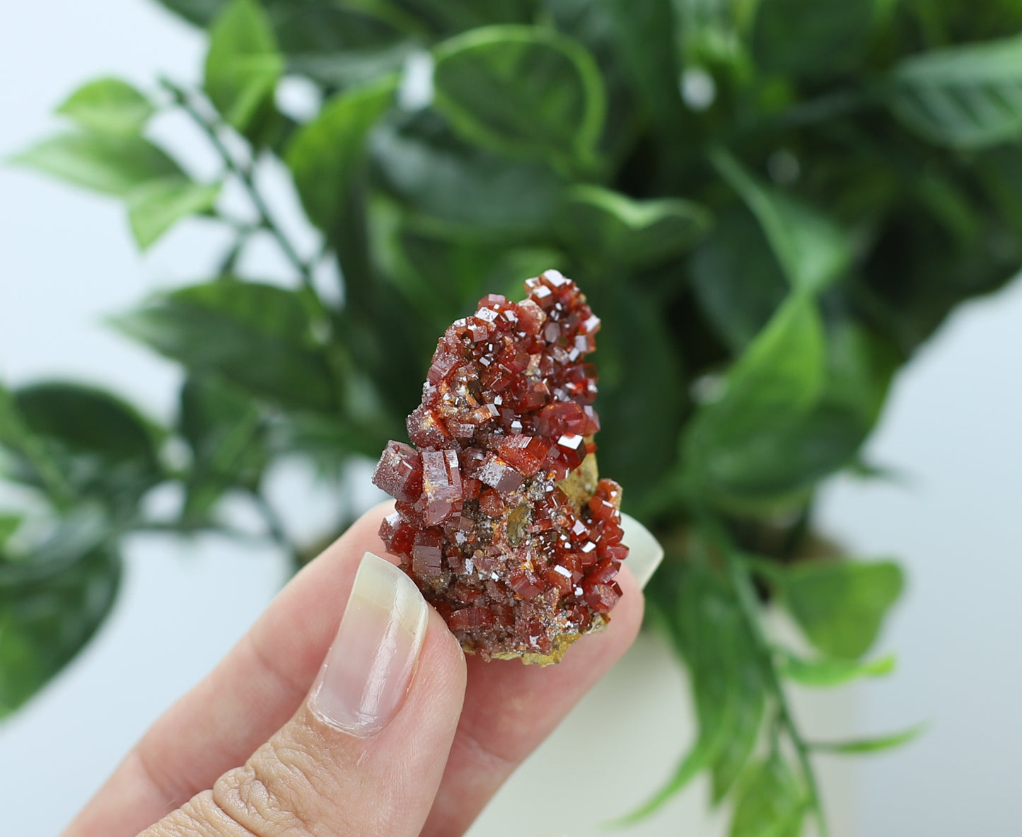 Moroccan Vanadinite Specimen