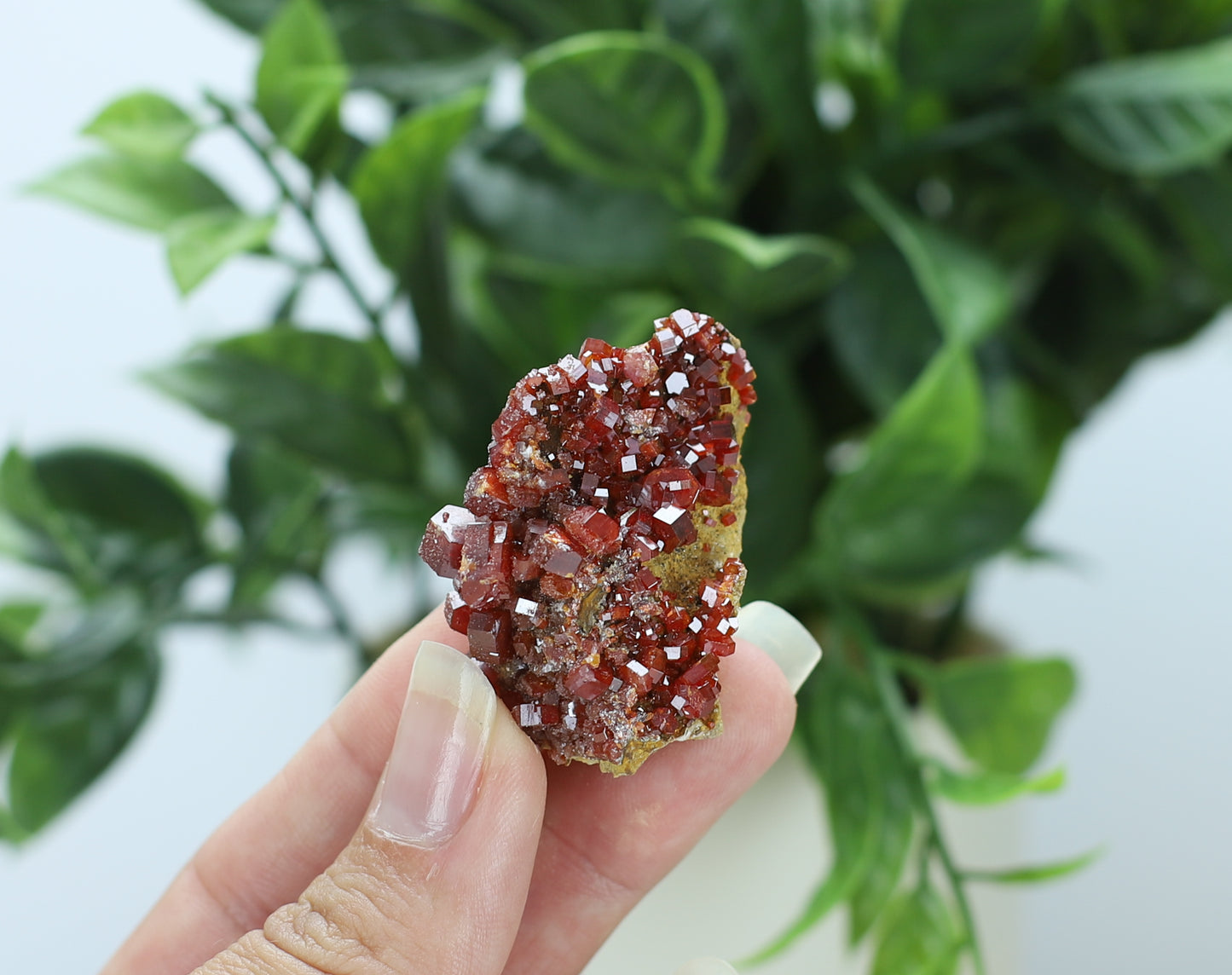 Moroccan Vanadinite Specimen